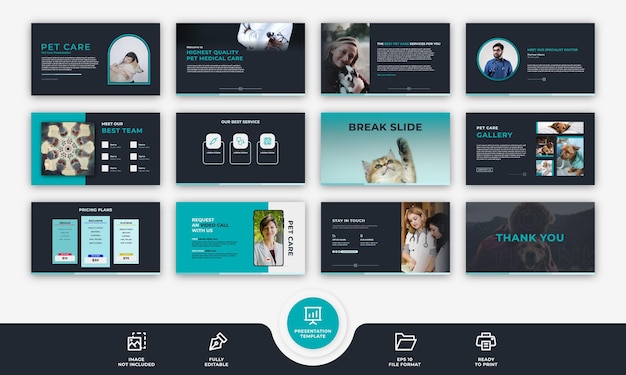 Pet care powerpoint presentation 12 slides veterinary clinic company professional design template