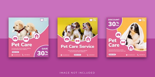 Pet Care Social Media Post Template