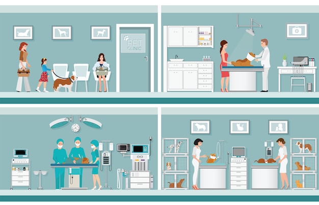 pet care with veterinary in pet clinic.