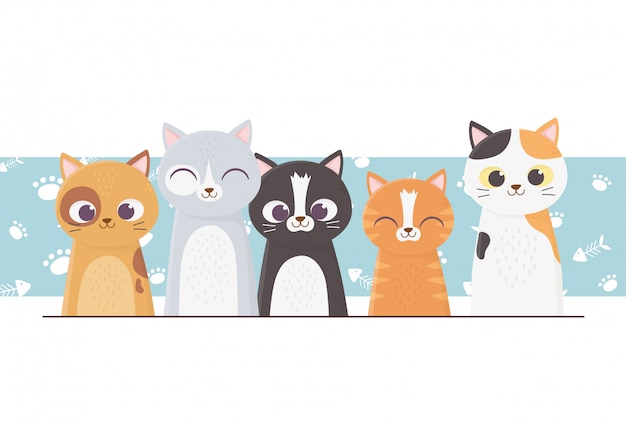 pet cats differents with paws background cartoon illustration