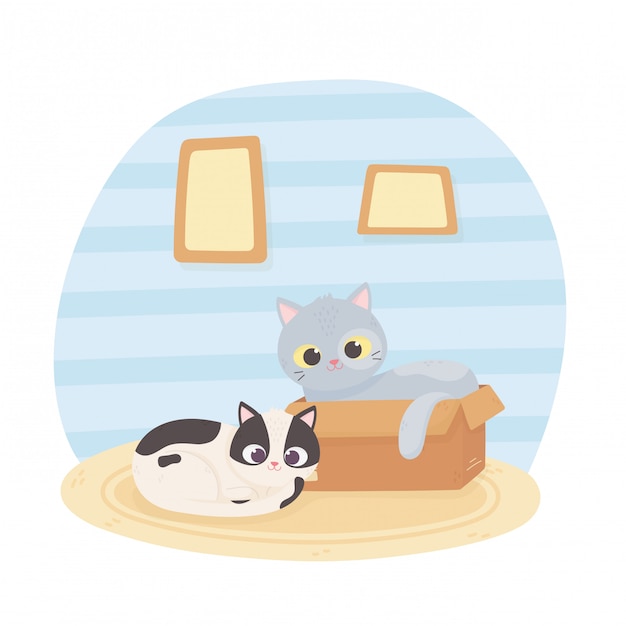 pet cats with cardboard box room cartoon illustration