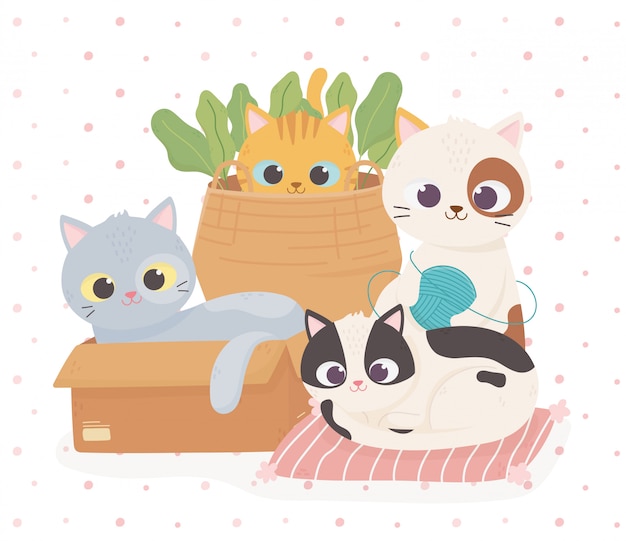 Pet cute cats in box cushion and basket with wool ball cartoon illustration