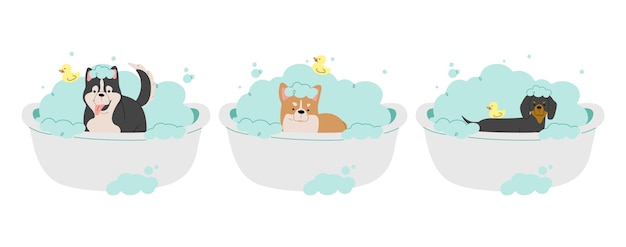 Pet Grooming 5