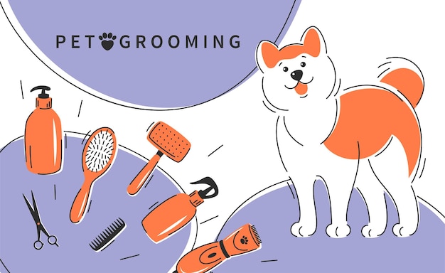 Pet grooming Cute dog with different tools for animal hair grooming haircuts bathing hygiene