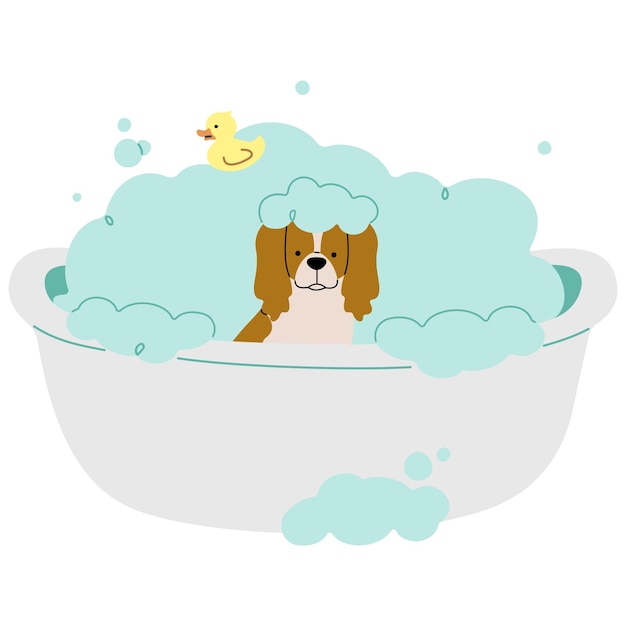 Pet Grooming single 21 cute on a white background vector illustration