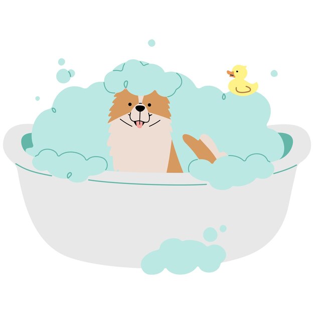 Pet Grooming single 24 cute on a white background vector illustration