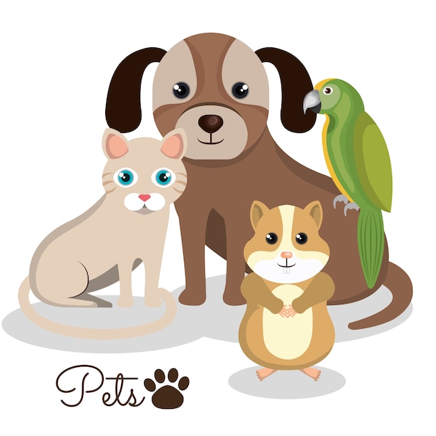 Vector pet mascot isolated icon vector illustration design