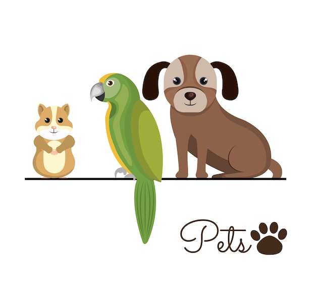 Vector pet shop center icon