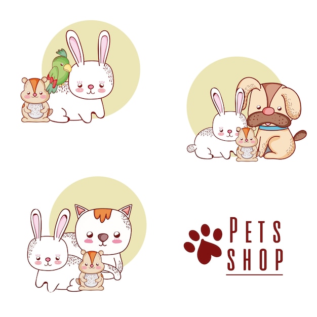 Vector pet shop cute cartoons