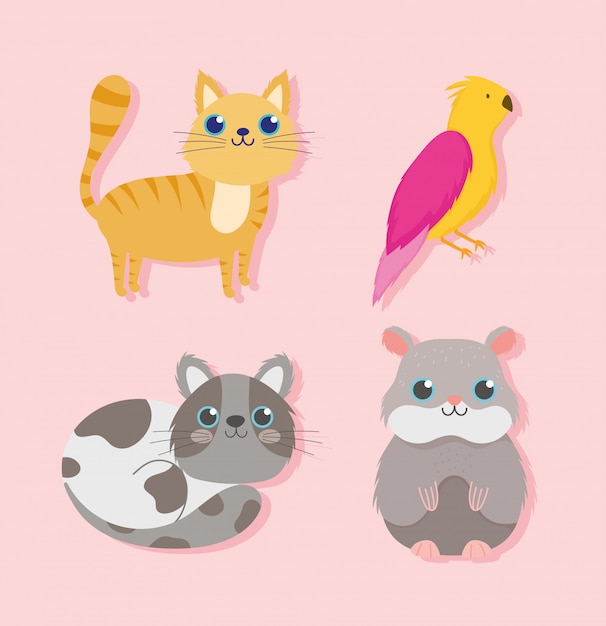 Pet shop, cute cats bird and hamster animal domestic cartoon vector illustration