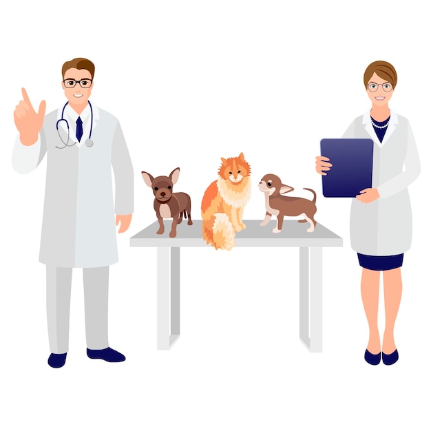 Vector pet shop poster with vet doctor nurse dog and cat silhouette