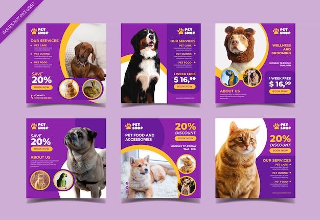 Vector pet shop social media post template