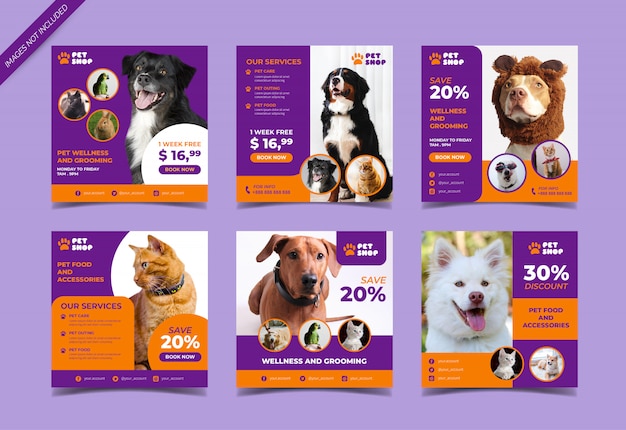 Vector pet shop social media post template