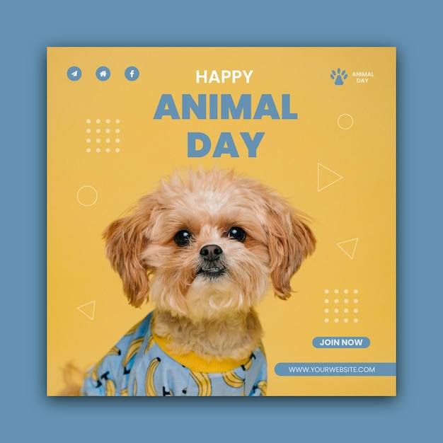 pet social media post design template