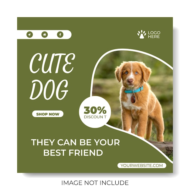 pet social media post design template