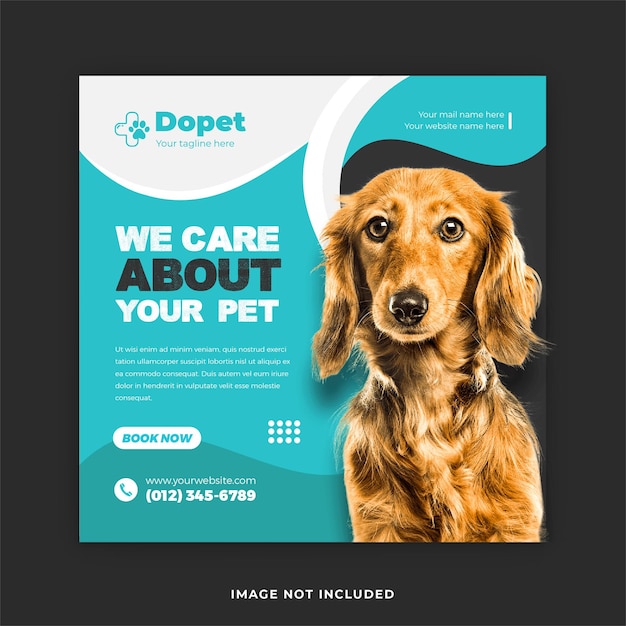 Pet Training service social media Post and Instagram post template