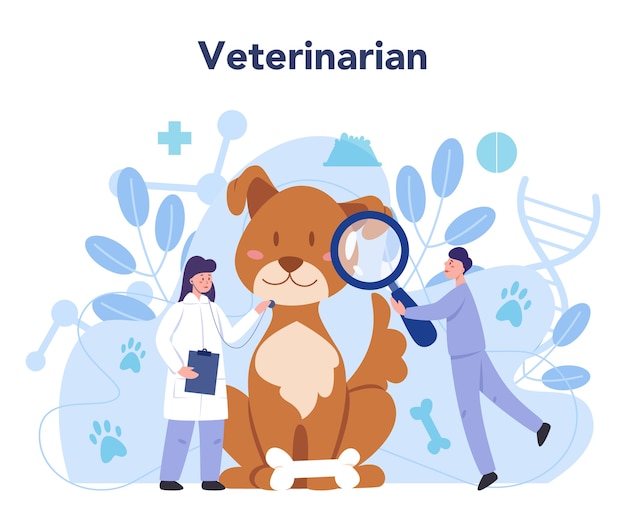 Pet veterinarian concept