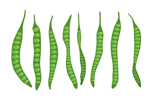 Vector petai stink beans cartoon vector image