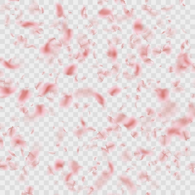 Vector petals falling confetti effect  on transparent.