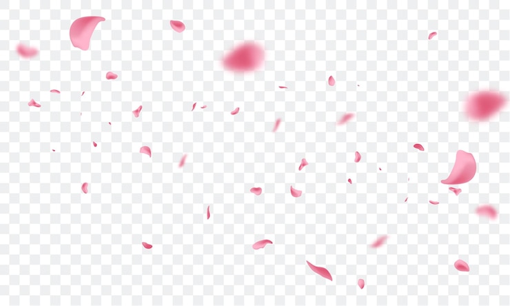 꽃잎