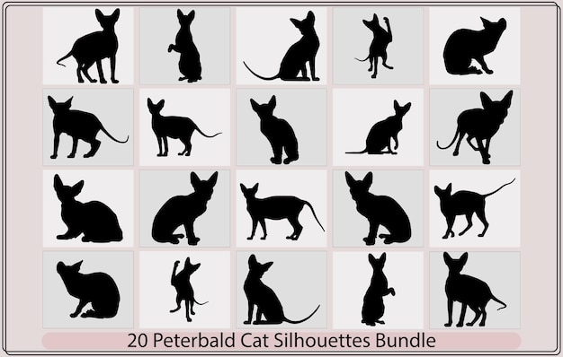 Vector peterbald cat cat breed face cartoon flat icon designpeterbald cat silhouette peterbald cat silho