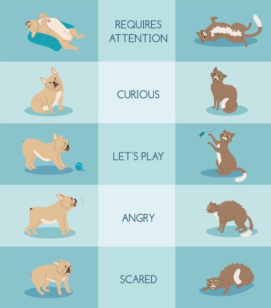 Pets Body Language Composition