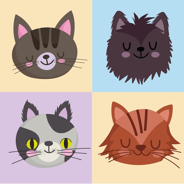 Animali domestici set di icone gatti felino mascotte animale, facce su blocchi colore design illustrazione