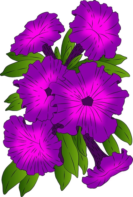 Vettore illustrazione vettoriale di fiori di petunia