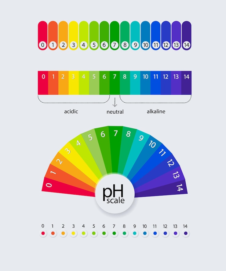 Vector ph scale chart for acid and alkaline solutions acidbase balance infographic vector