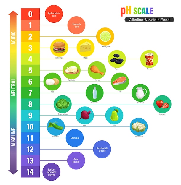 Vector ph scale chart, alkaline and acidic nutrition measure meter, vector chemistry science. ph indicators for acid and alkaline or neutral balance and chemical solutions values in food nutrition