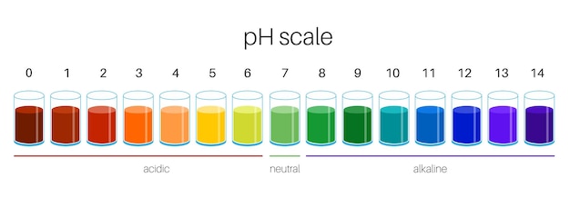 PH 스케일 다이어그램