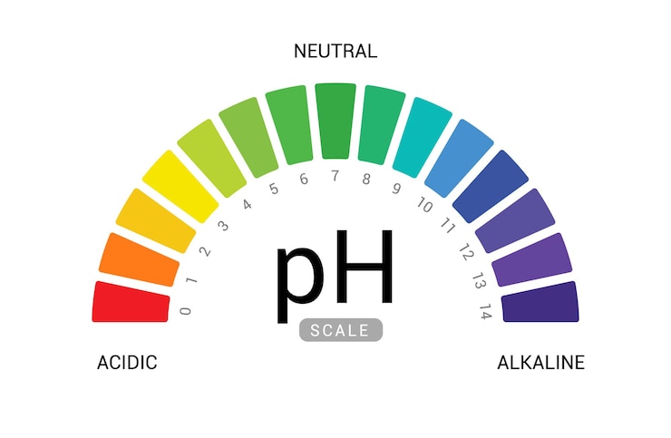 Vector ph scale indicator chart diagram acidic alkaline measure