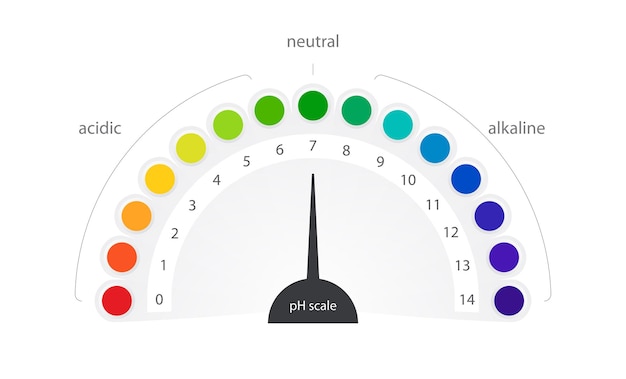 PH schaal vector indicator grafiek diagram zure alkalische maatregel