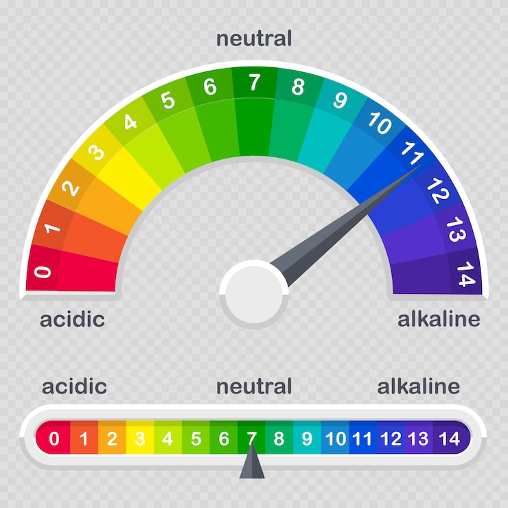 Vector ph value scale meter for acid and alkaline solutions