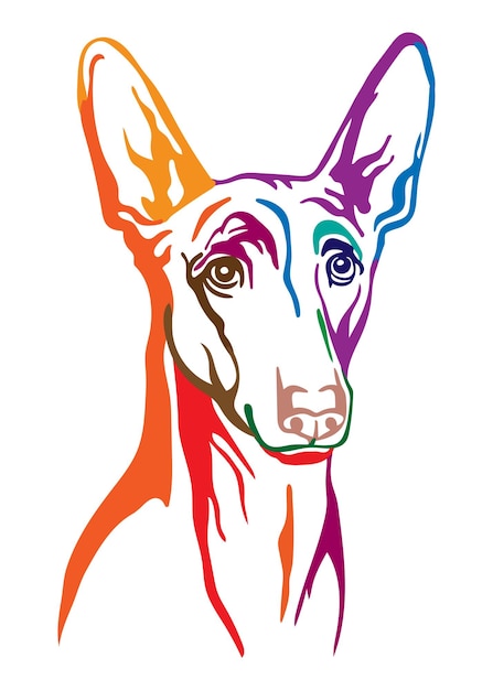 Pharaon hond vector illustratie abstracte kleur portret