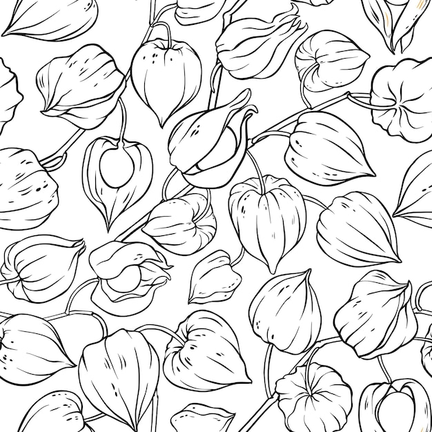 Vector phisalis seamless pattern