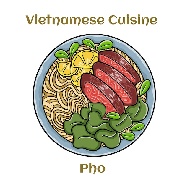 Pho Bo vietnamese soup with beef and rice noodles Isolated vector illustration