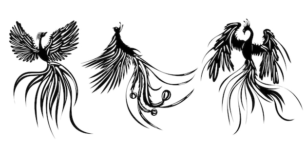 Phoenix bird silhouette isolated vector