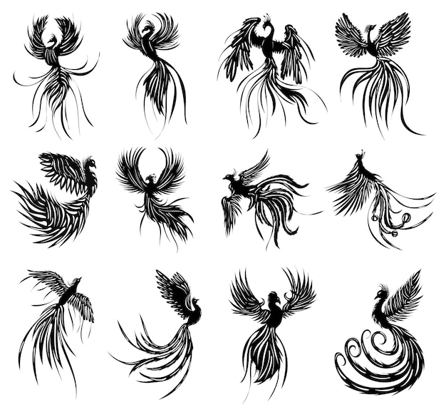 Phoenix birds firebird set silhouette isolated vector