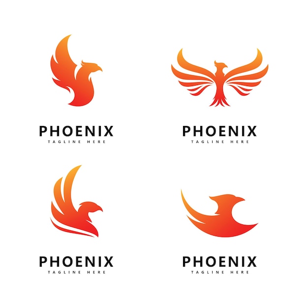 Disegno del modello vettoriale logo phoenix