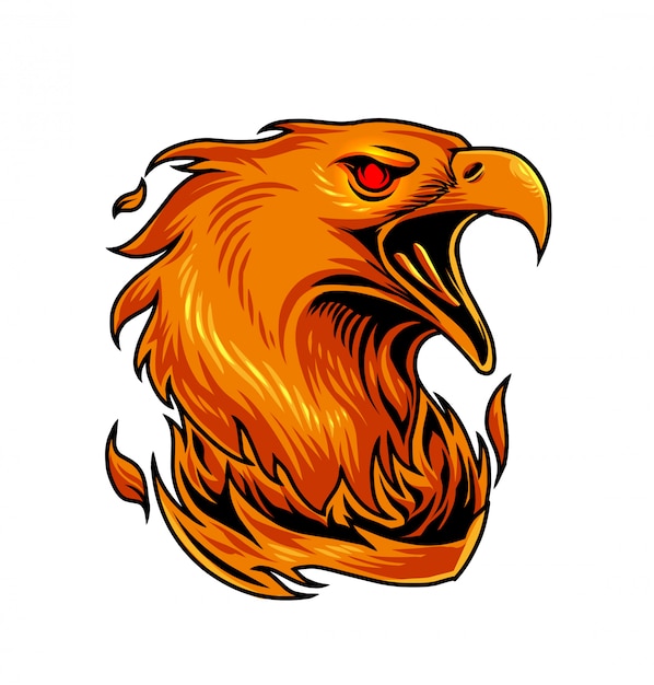 Phoenix sport mascotte logo