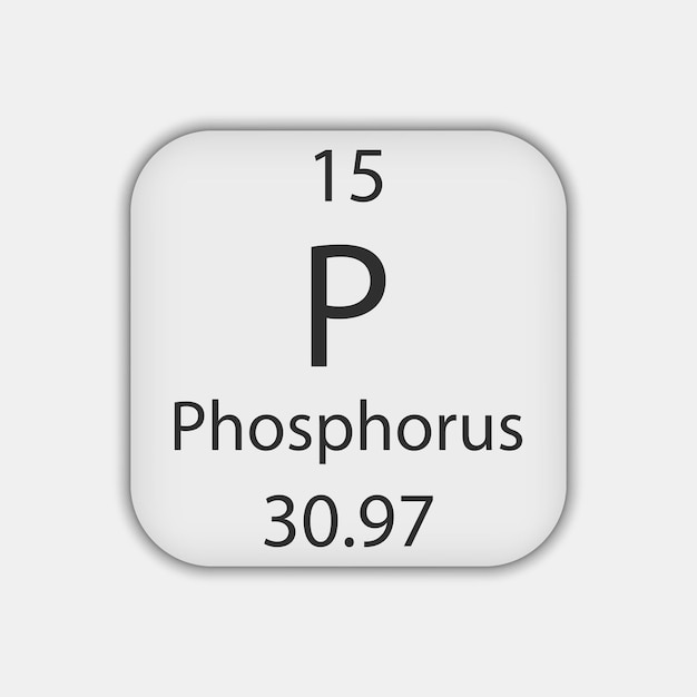 Phosphorus symbol chemical element of the periodic table vector illustration