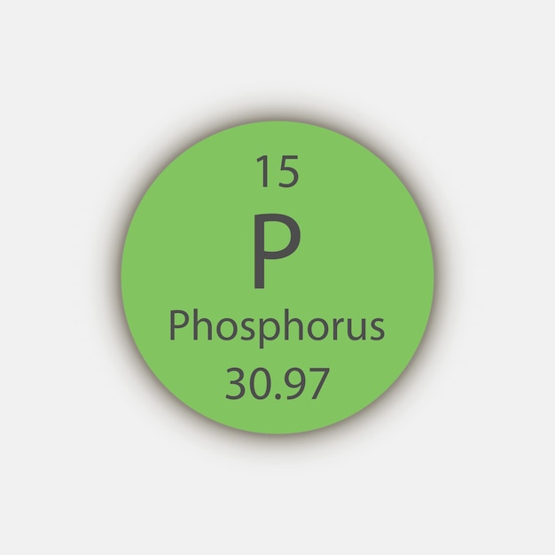 Phosphorus symbol Chemical element of the periodic table Vector illustration