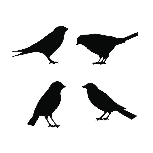 Photo of birds silhouettes vector collection design