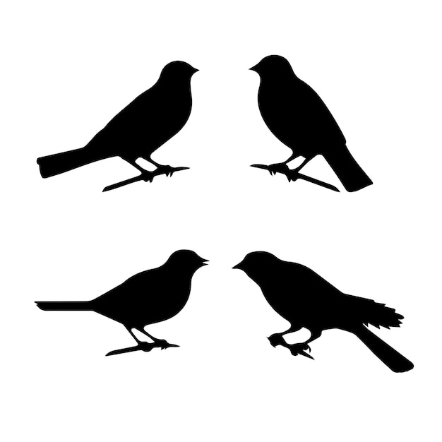 Photo of birds silhouettes vector collection design