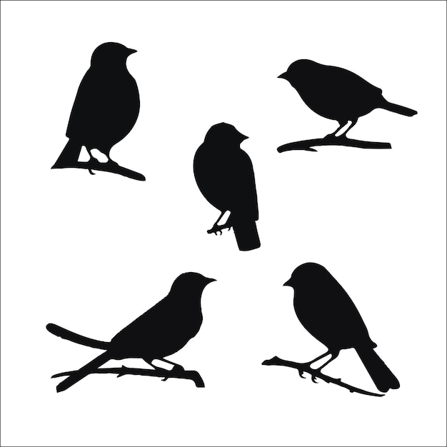 Photo of birds silhouettes vector collection design