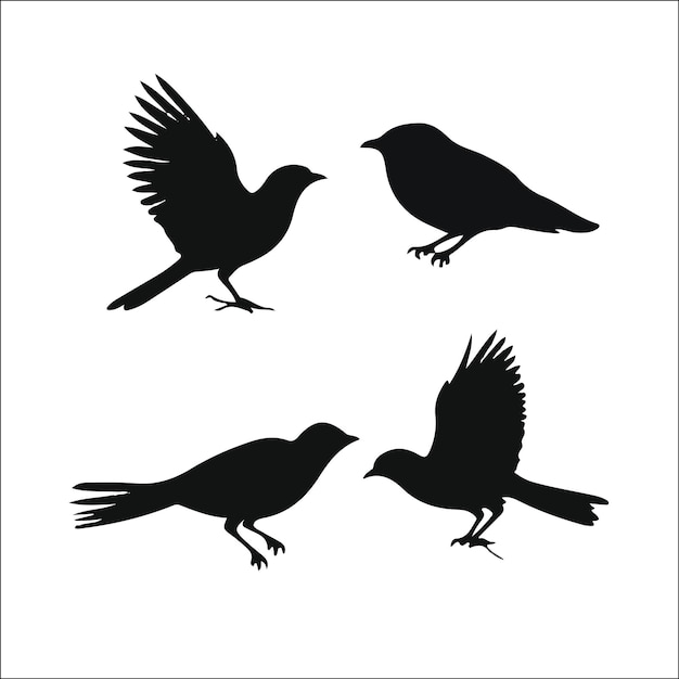 Photo of birds silhouettes vector collection design