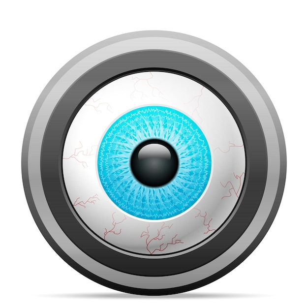 Vector photo camera eye