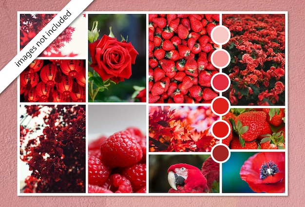 Photo collage moodboard template in red color