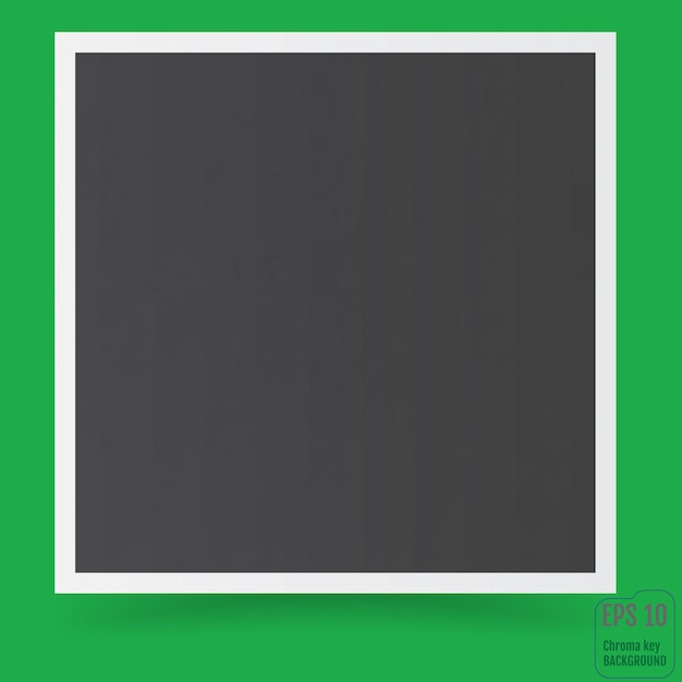 Photo frame White plastic border Empty photo frame Vector illustration